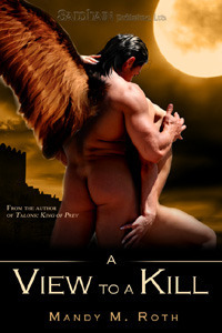 King of Prey book cover 2