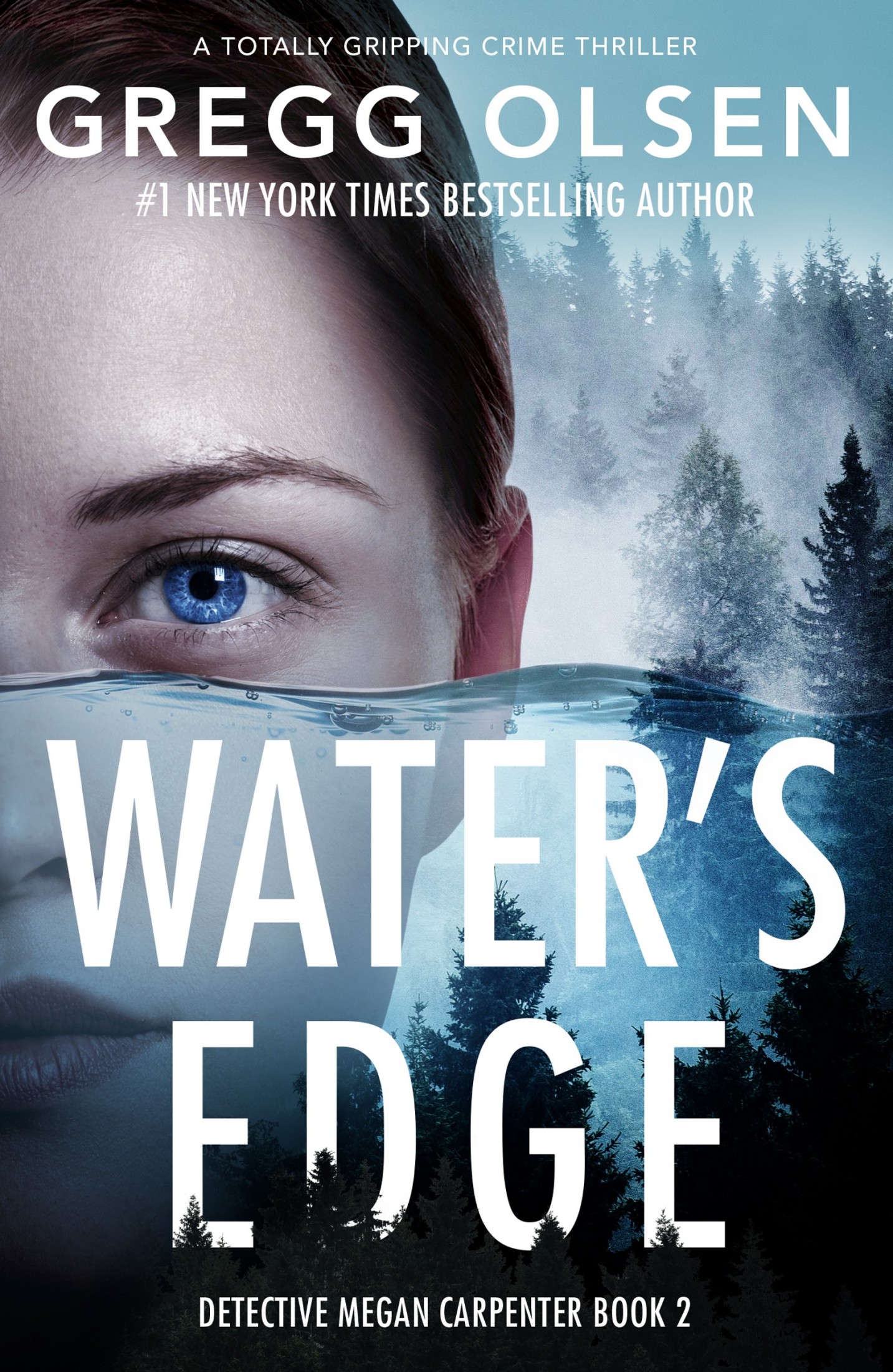 Detective Megan Carpenter book cover 2