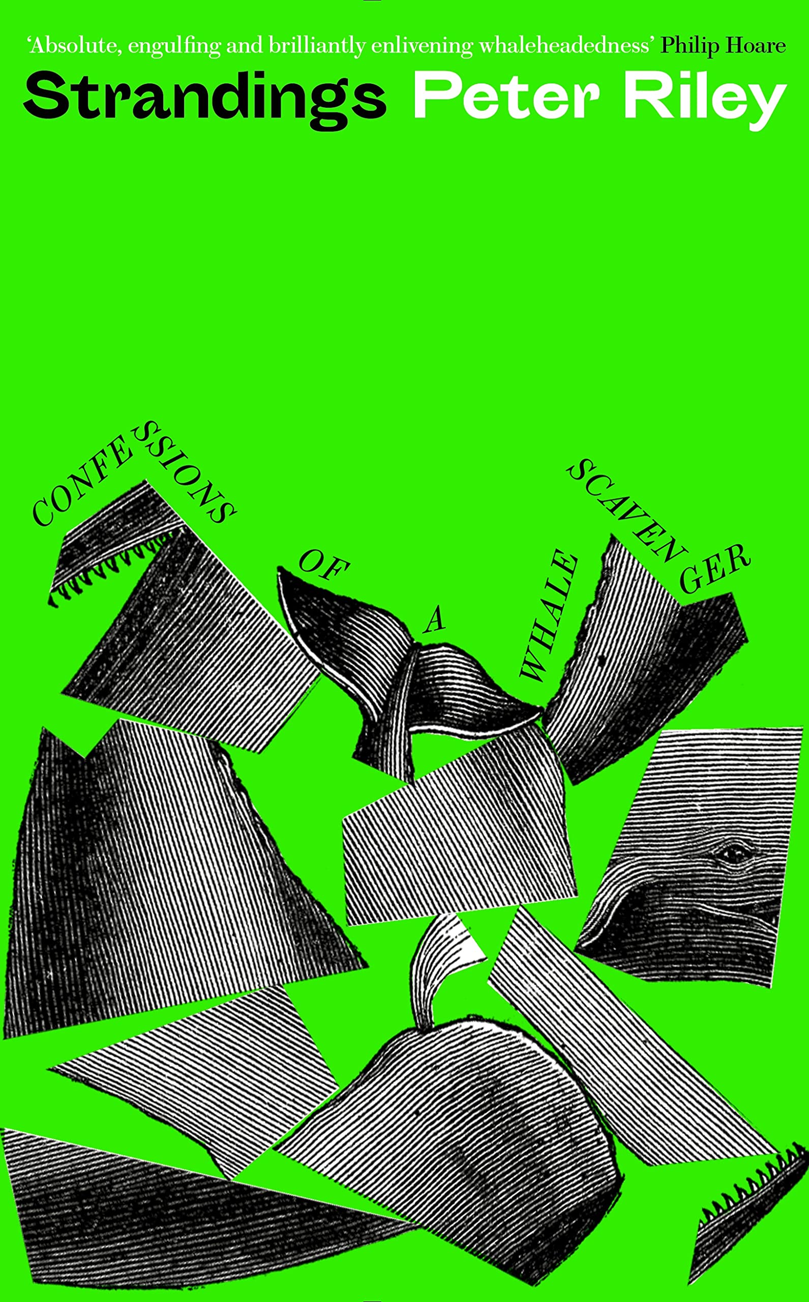 Strandings book cover