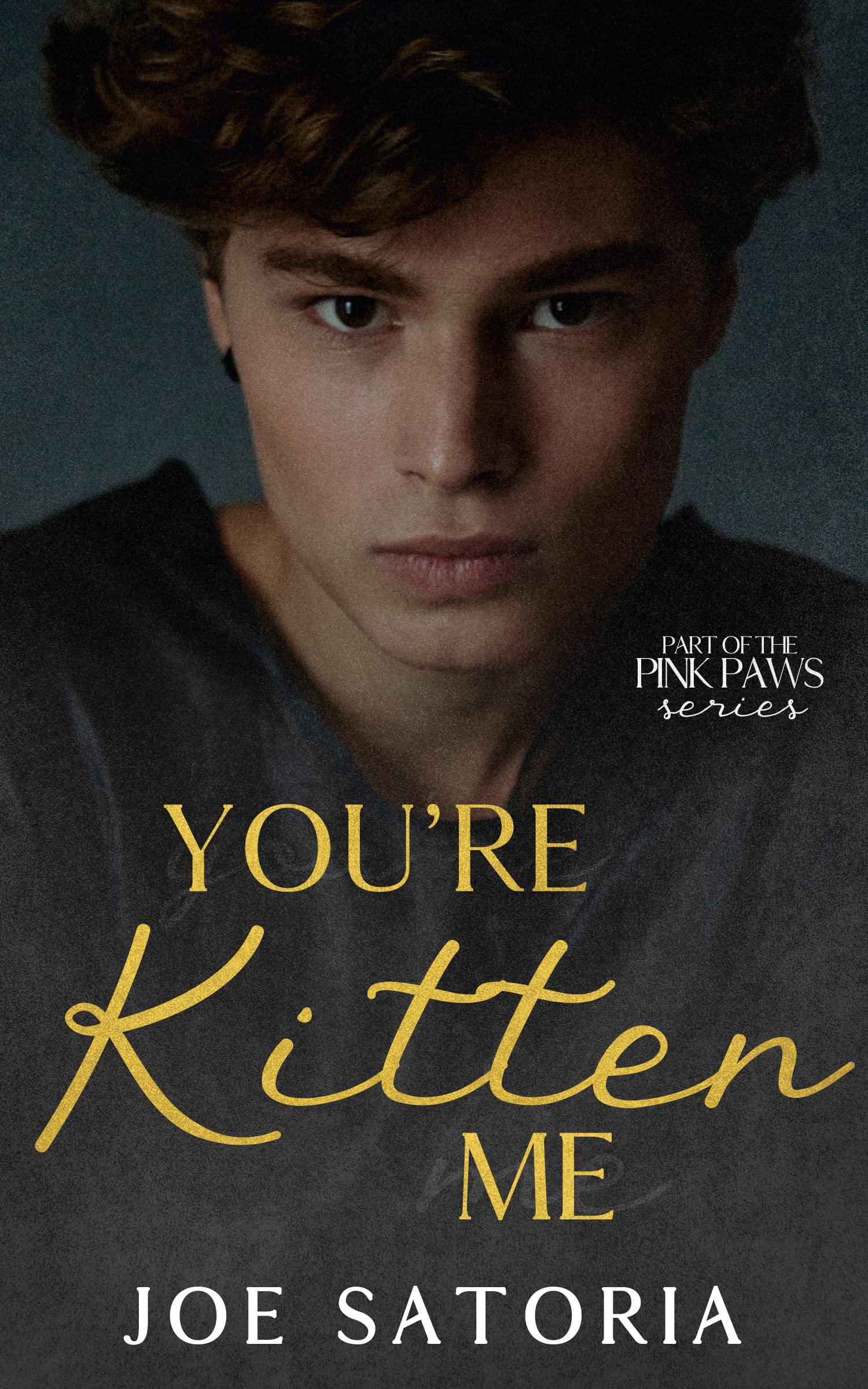 Pink Paws book cover 1
