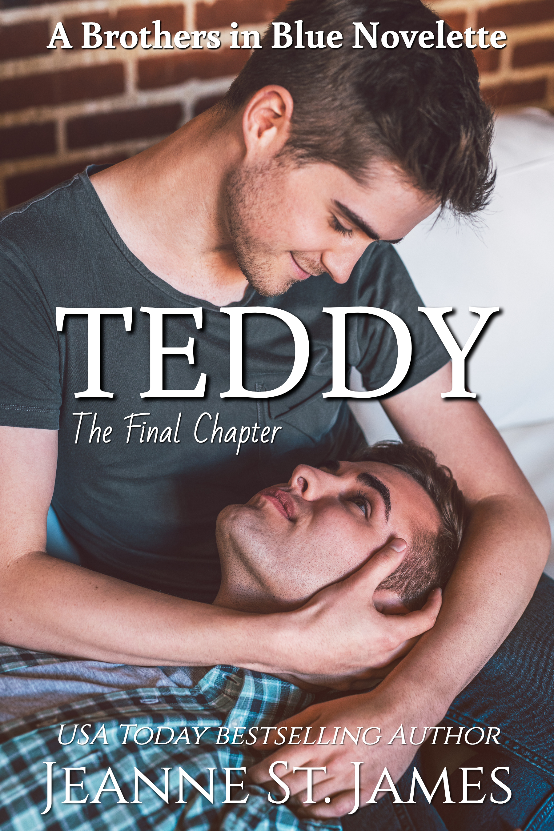 Teddy book cover