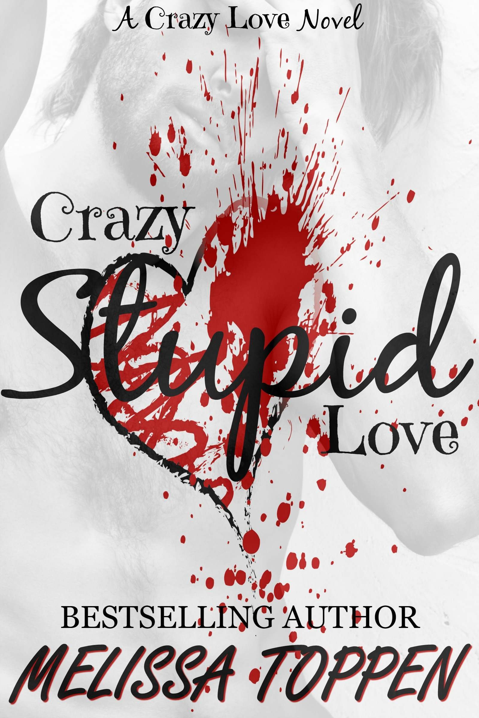Crazy Stupid book cover 1