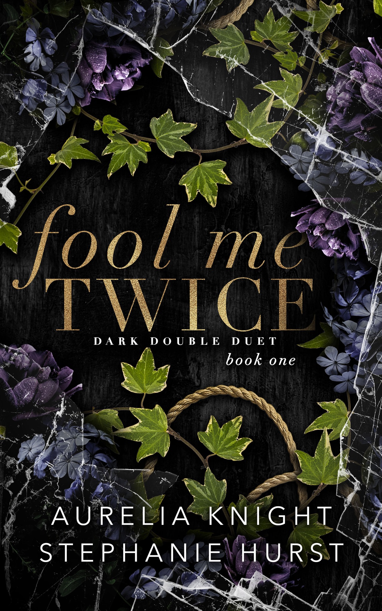 Fool Me Twice book cover