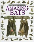 Amazing Bats book cover