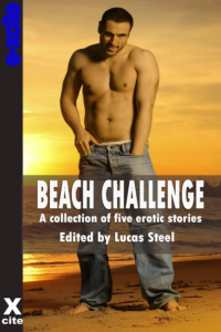 Beach Challenge book cover