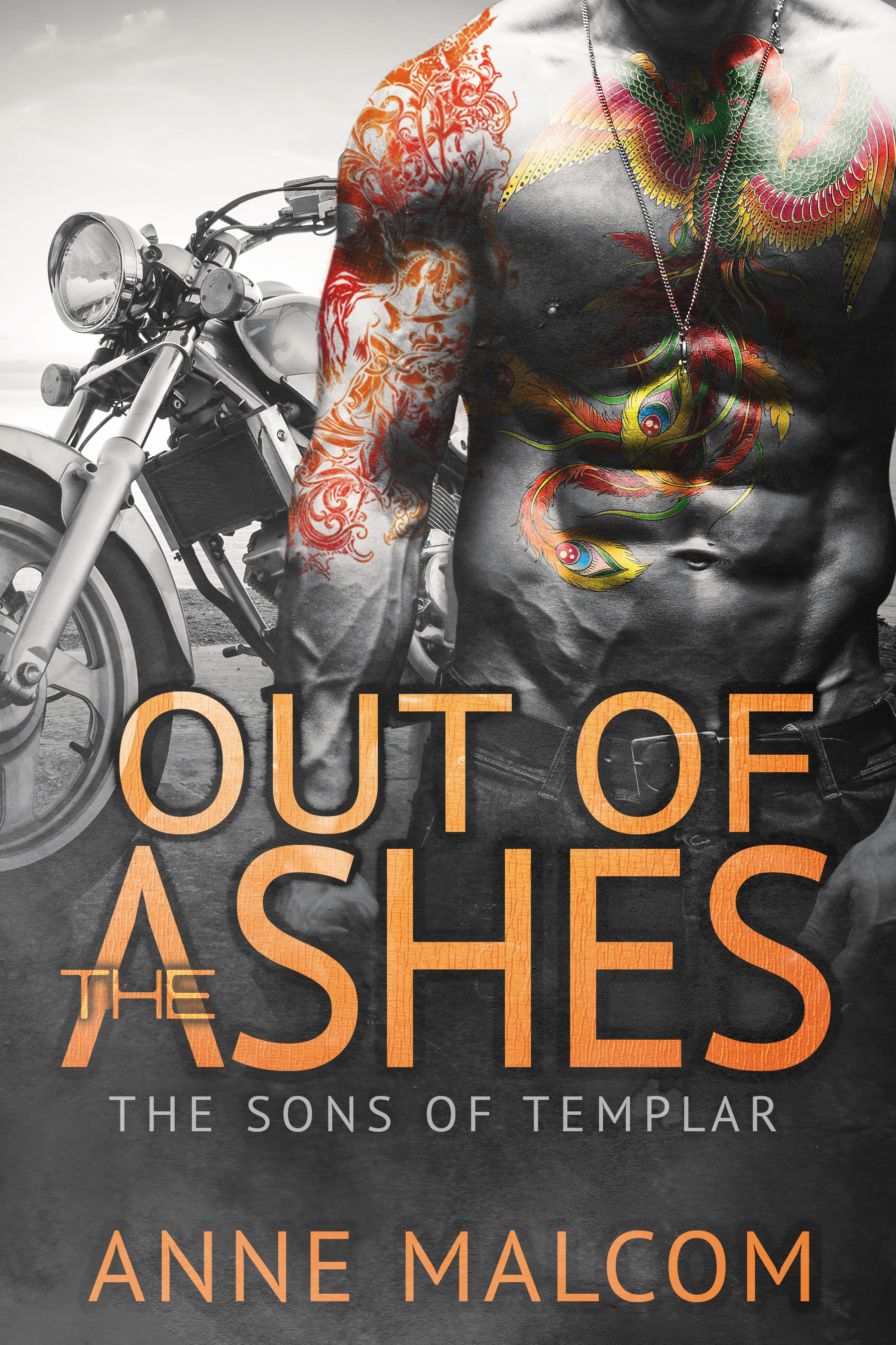 Sons of Templar MC book cover 3