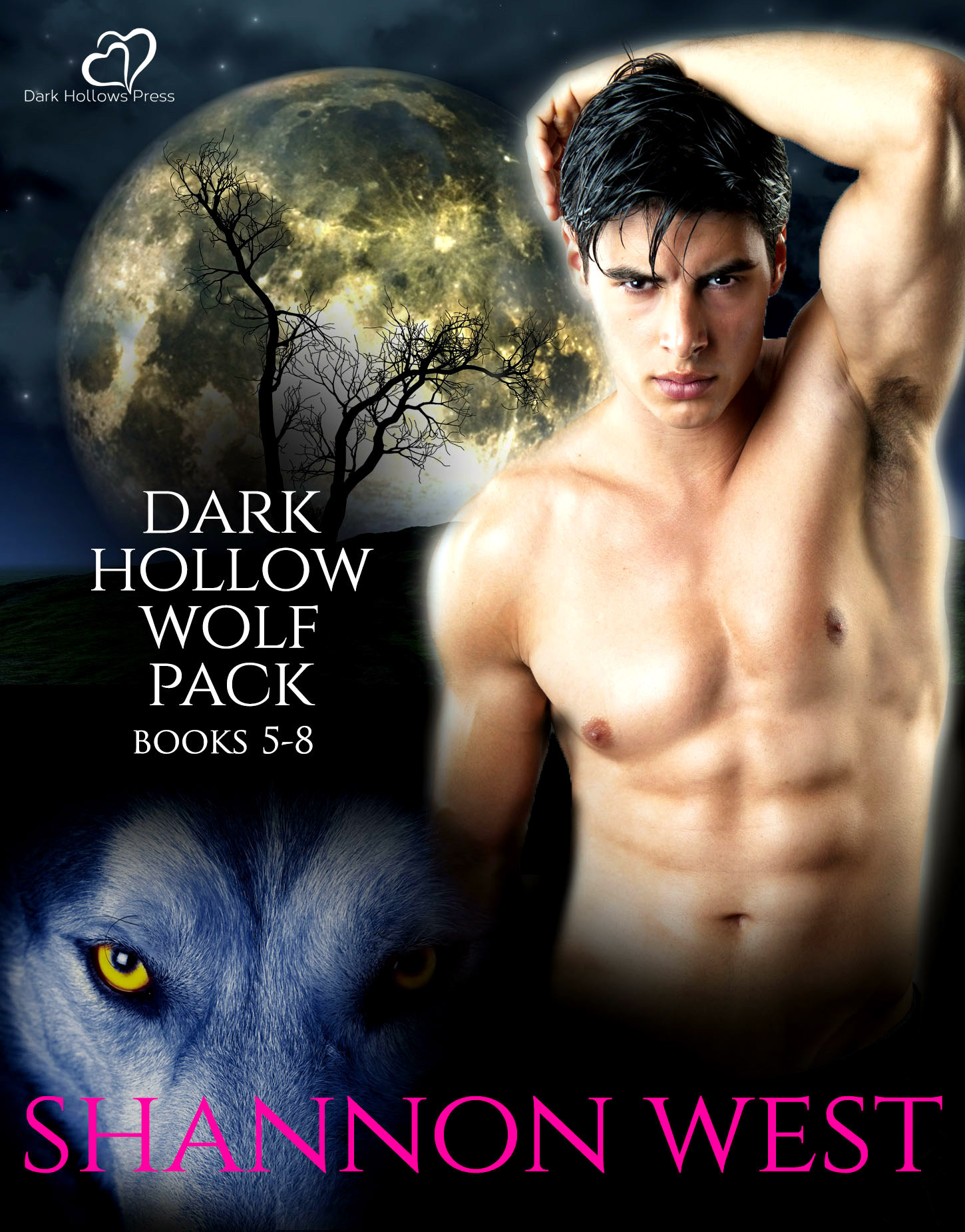 Dark Hollow Wolf Pack book cover