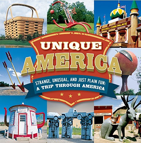 Unique America strange, unusual, and just plain fun book cover