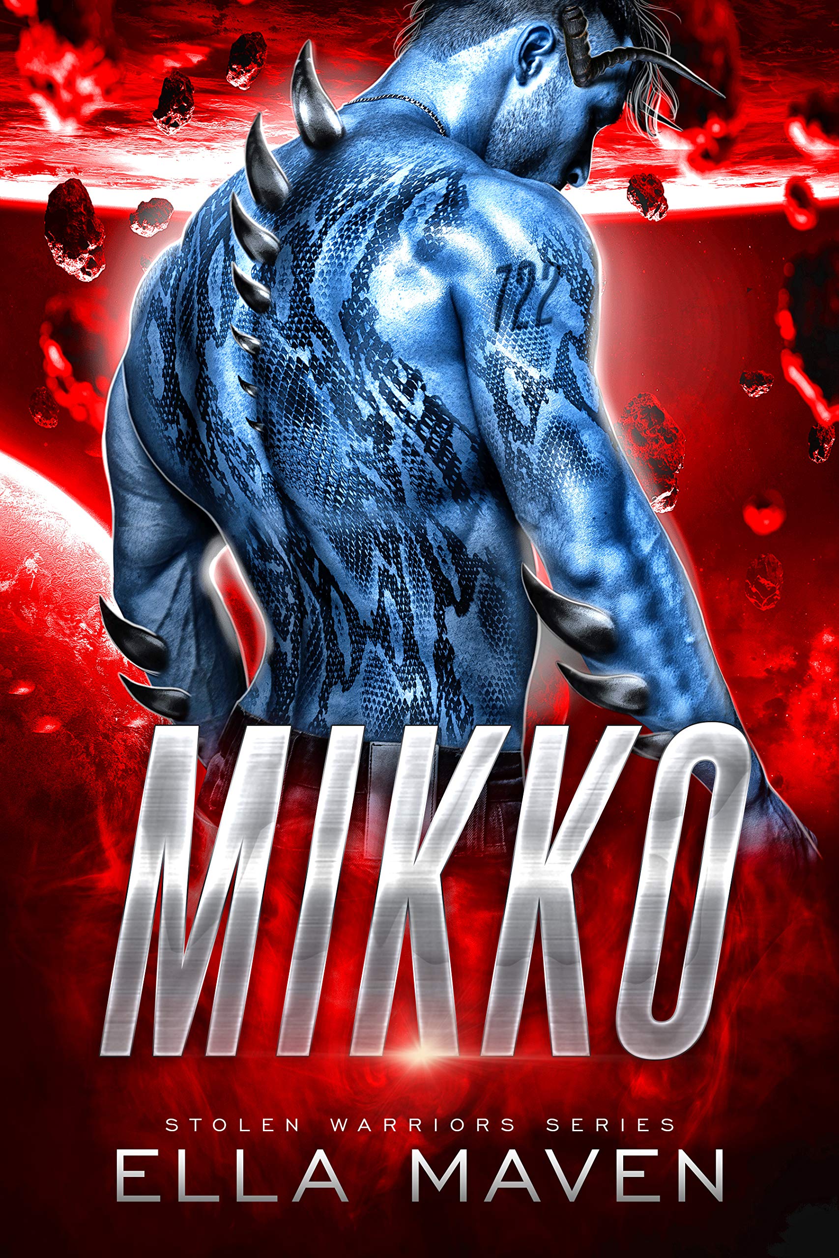 Stolen Warriors book cover 2