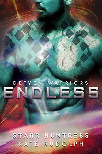 Endless book cover