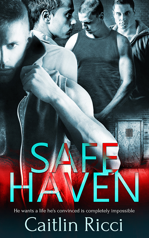 Safe Haven book cover