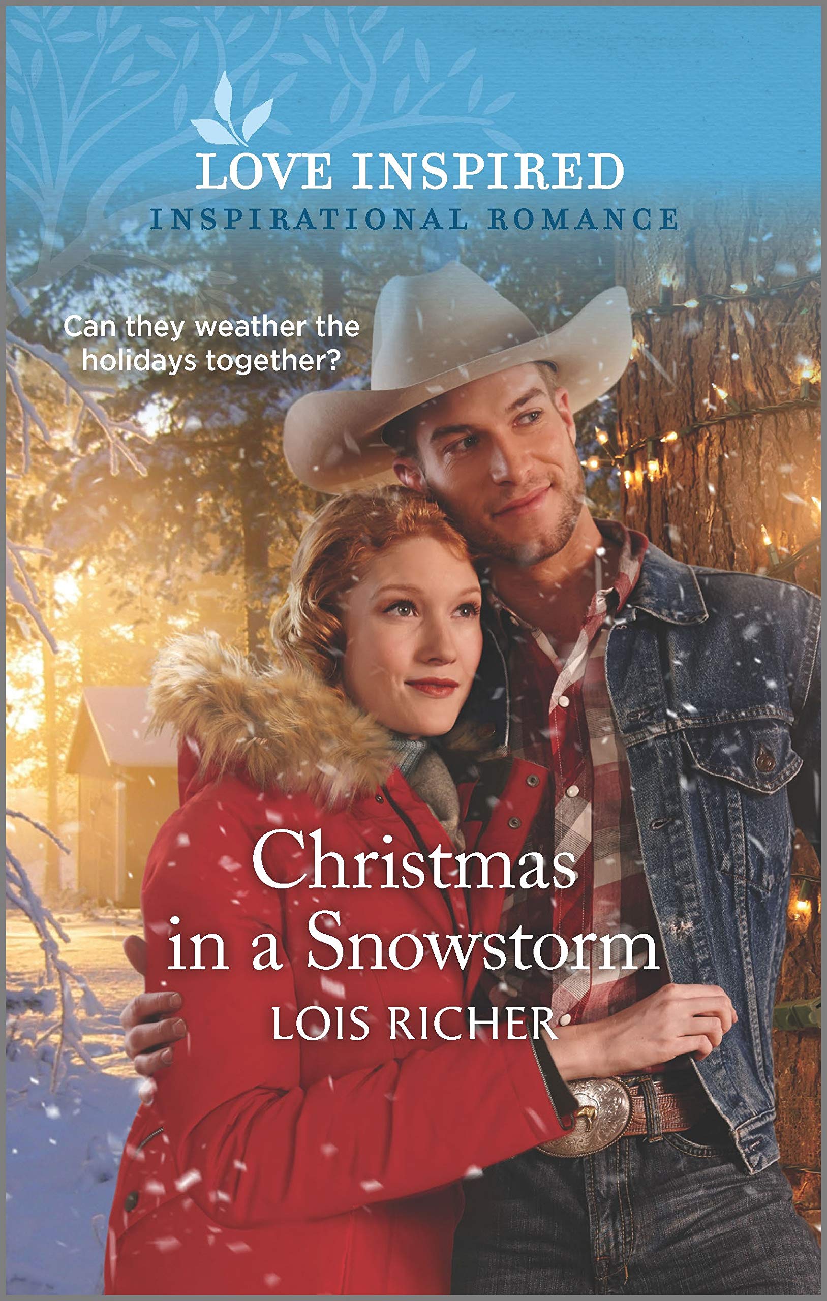Christmas in a Snowstorm book cover