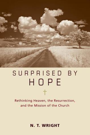 Surprised by Hope Participant's Guide book cover