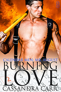 Burning Love book cover