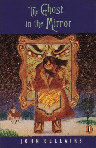 The Ghost in the Mirror book cover