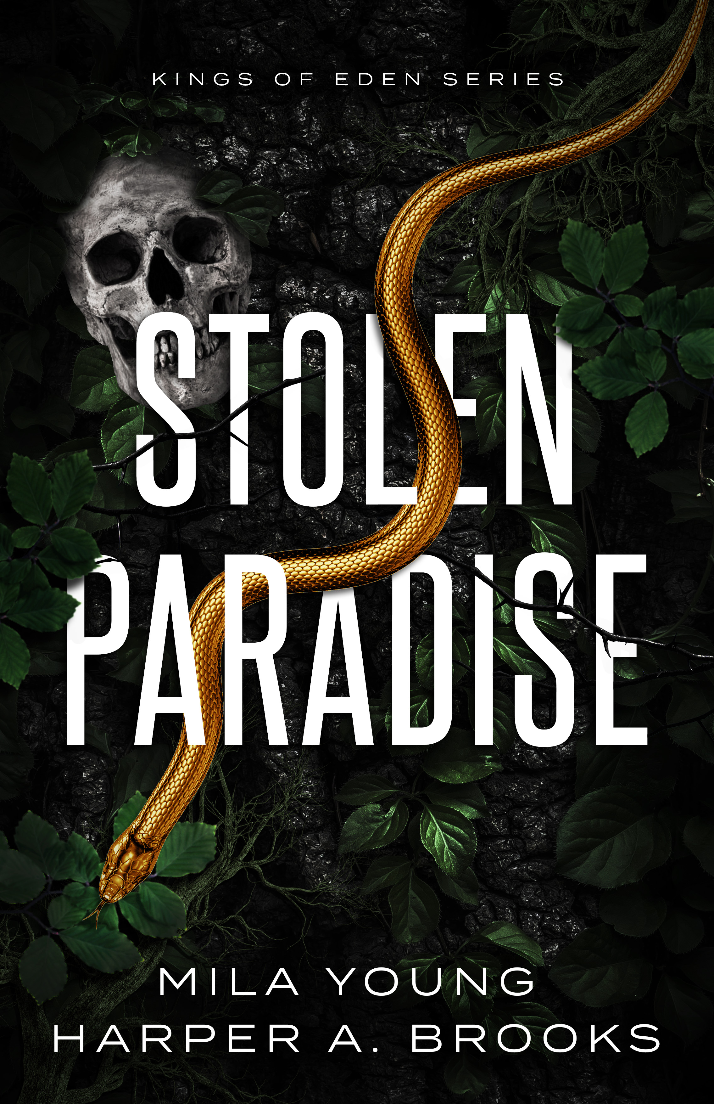 Kings of Eden book cover 2