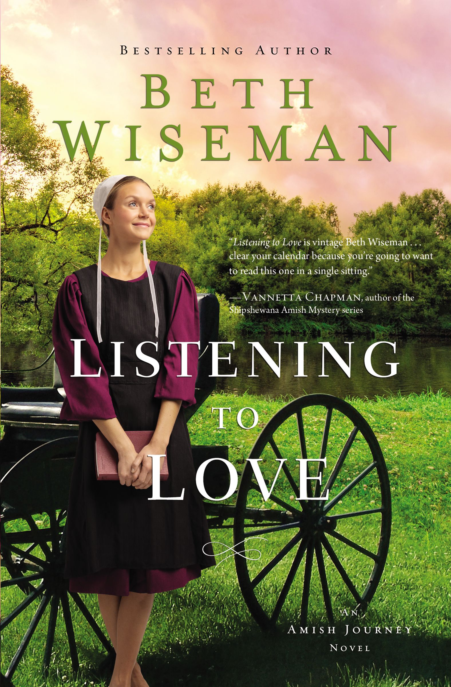 An Amish Journey book cover 2