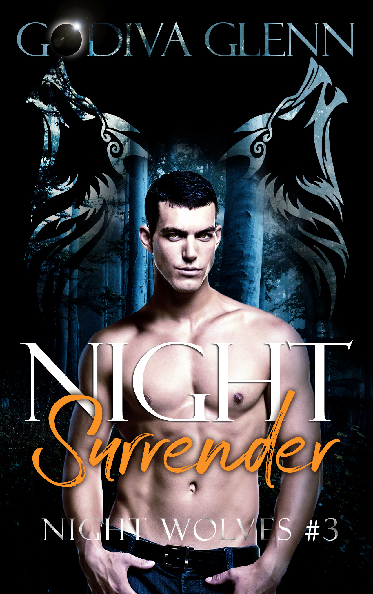 Night Wolves book cover 3