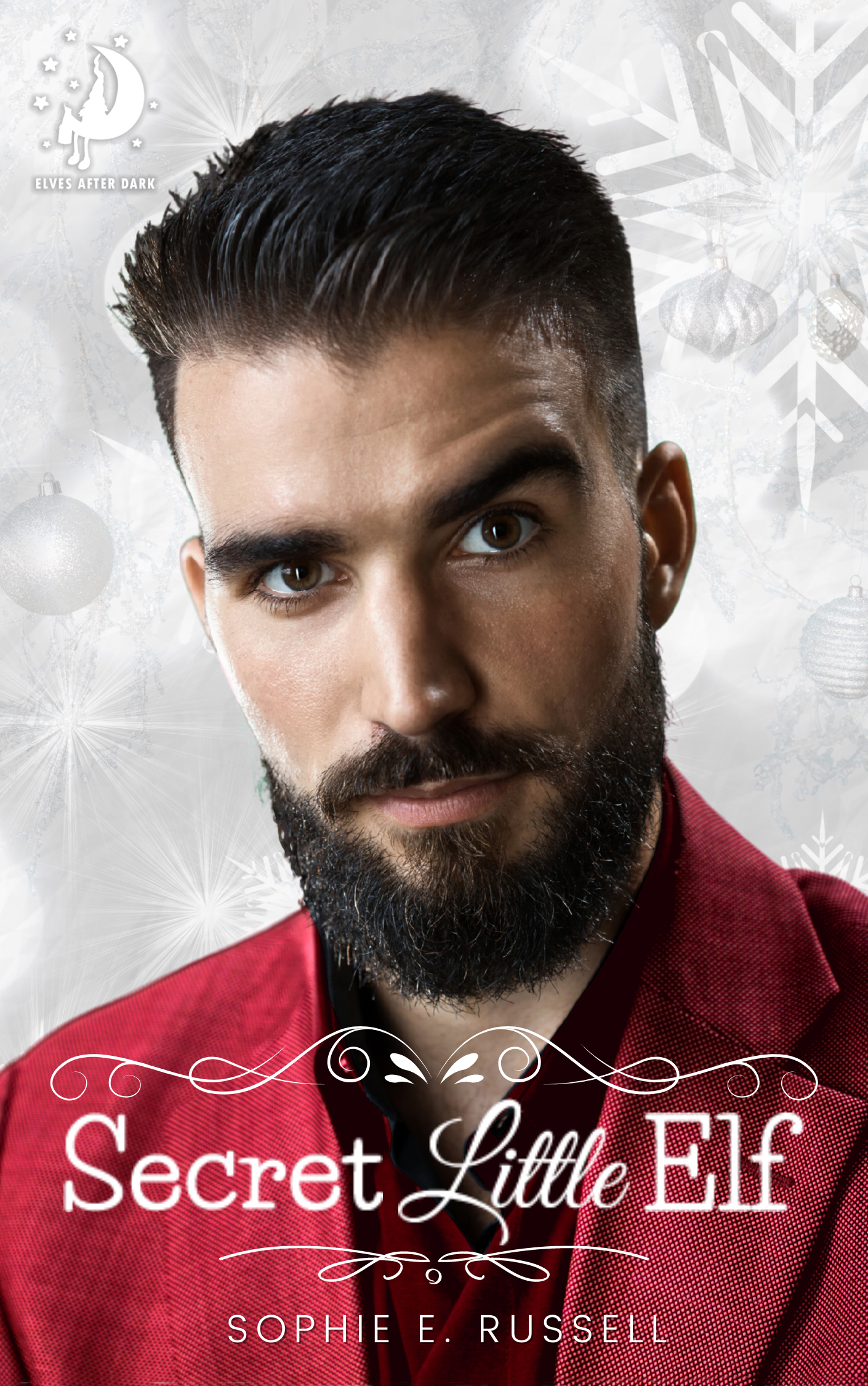 Elves After Dark book cover 2
