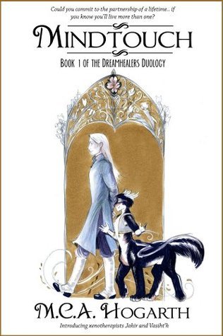 The Dreamhealers book cover 1