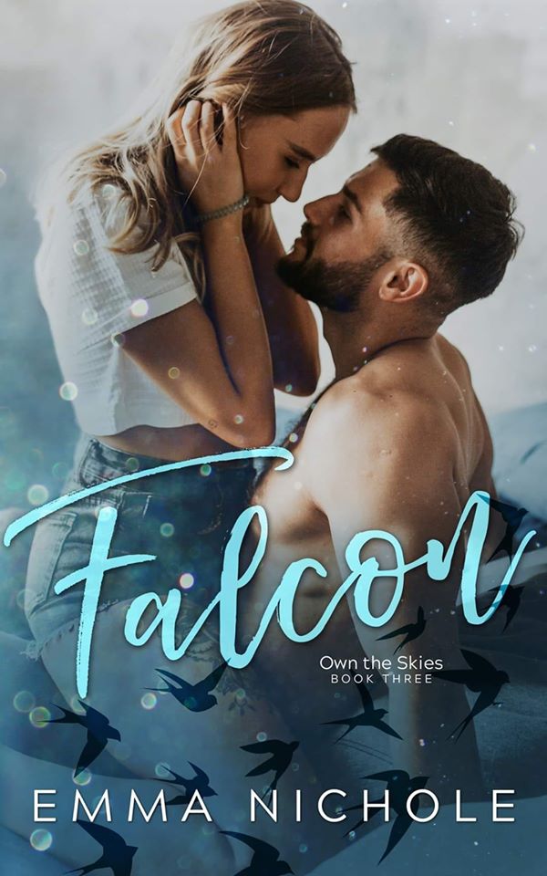 Own The Skies book cover 3