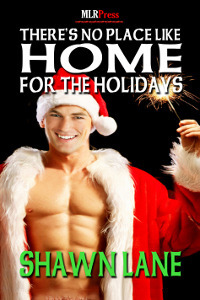 MLRPress Holiday 2012 Release book cover 2