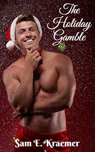The Holiday Gamble book cover