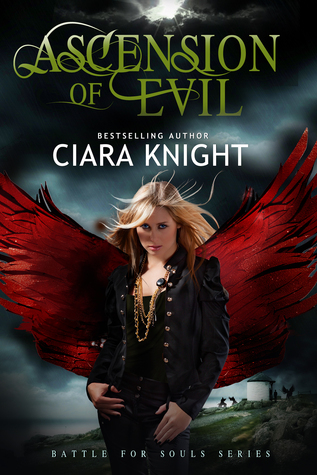 Battle for Souls book cover 3