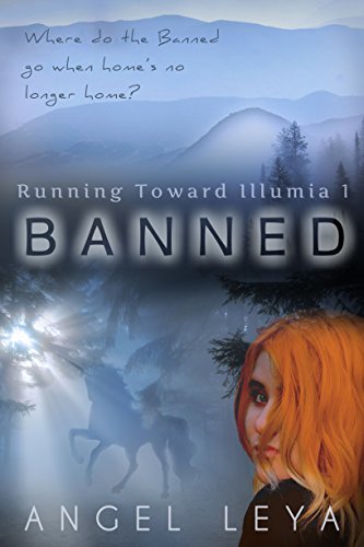Running Toward Illumia book cover 1
