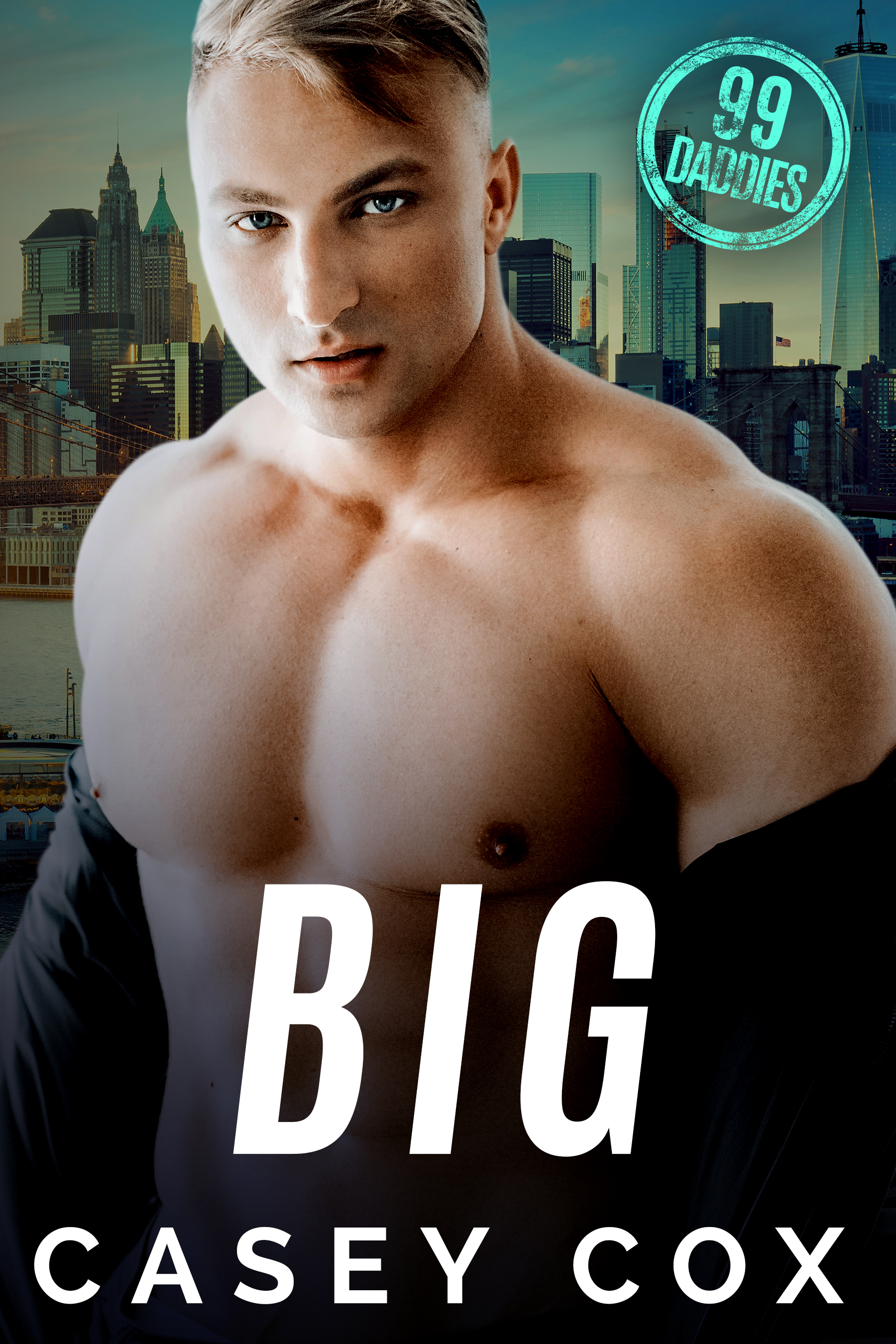 99 Daddies book cover 1