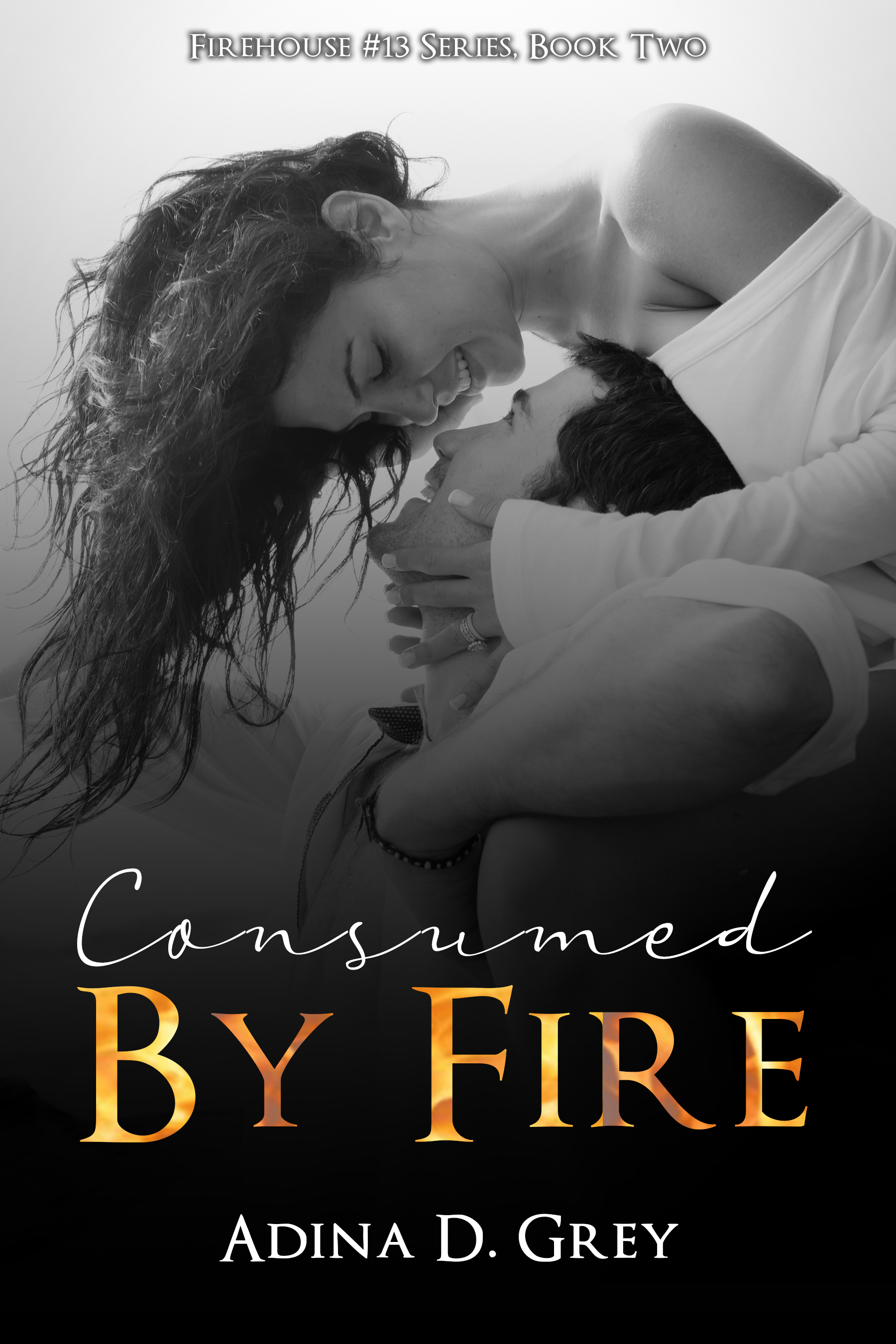 Firehouse 13 book cover 2