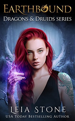 Dragons & Druids book cover 2