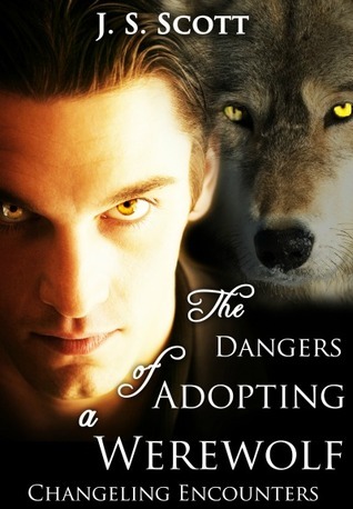Changeling Encounters book cover 2