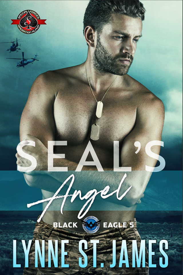 SEAL's Angel book cover