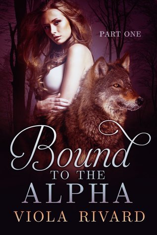Bound book cover 1