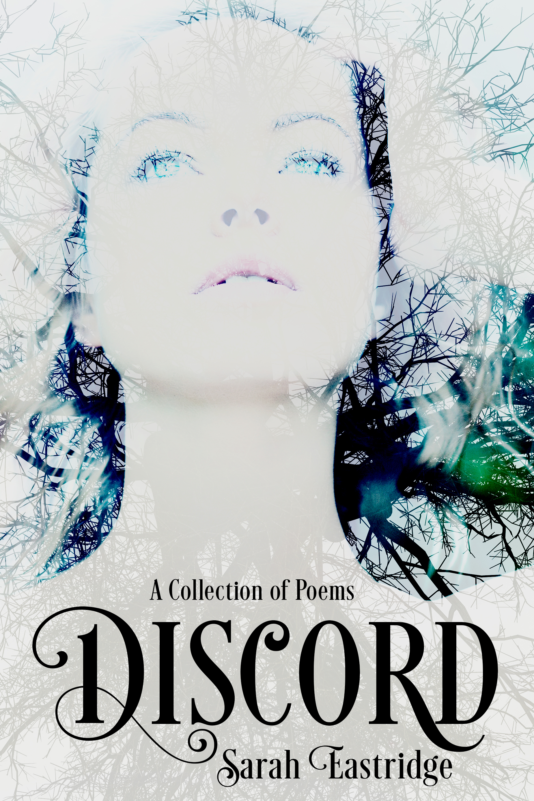 Discord book cover
