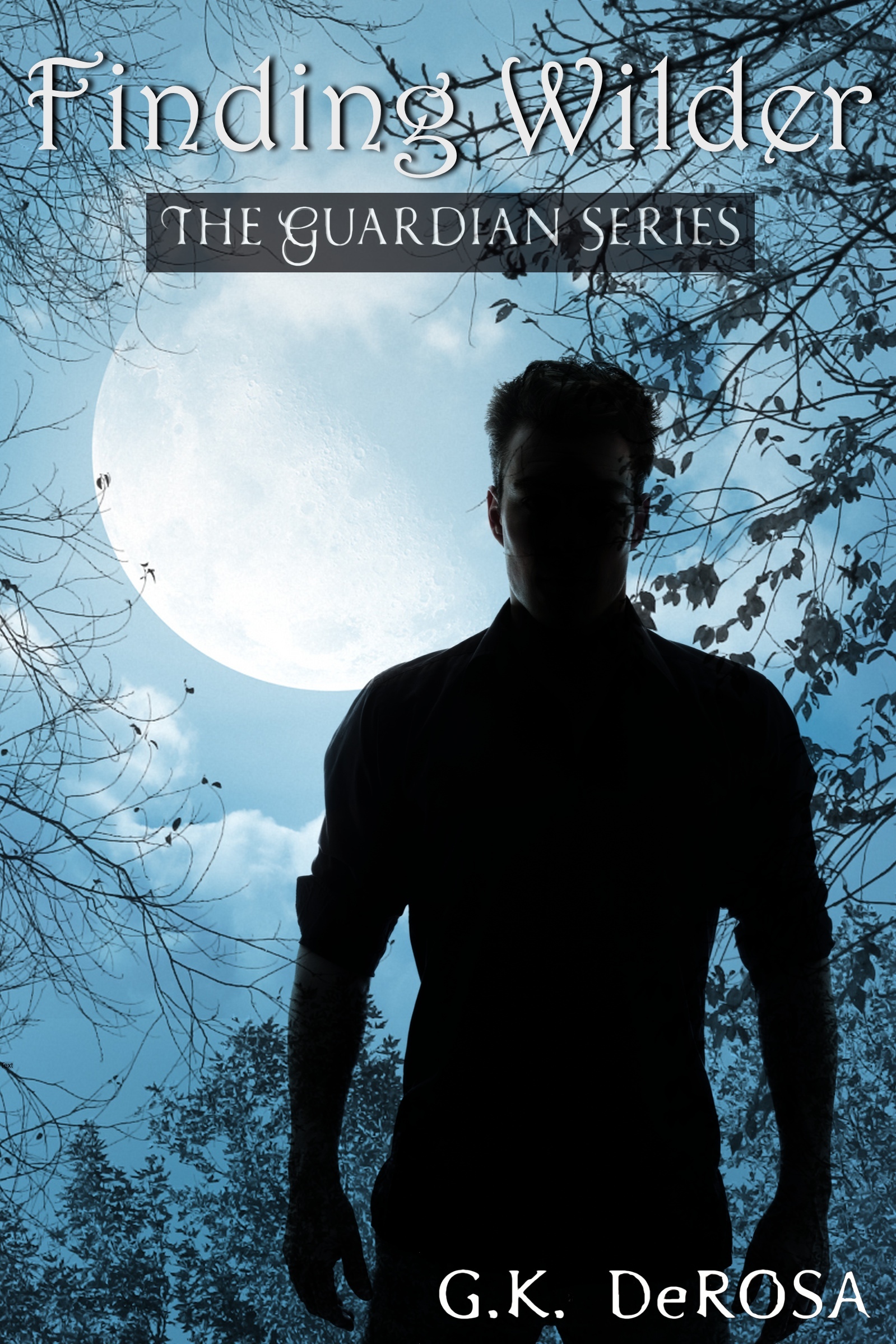 Finding Wilder book cover