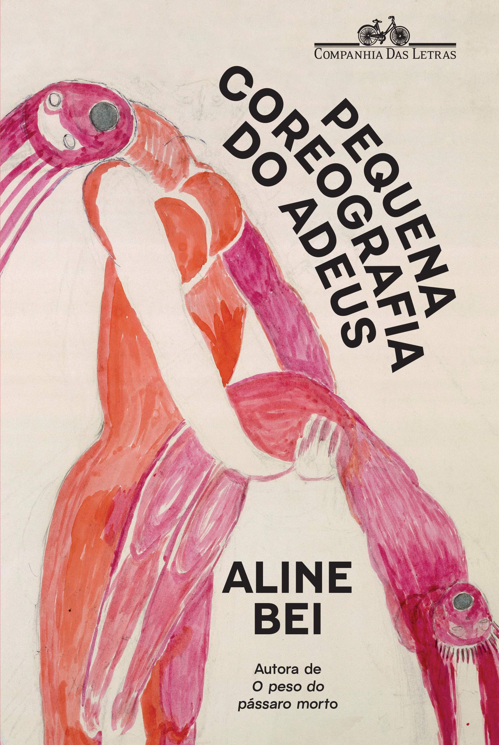 Pequena Coreografia do Adeus book cover