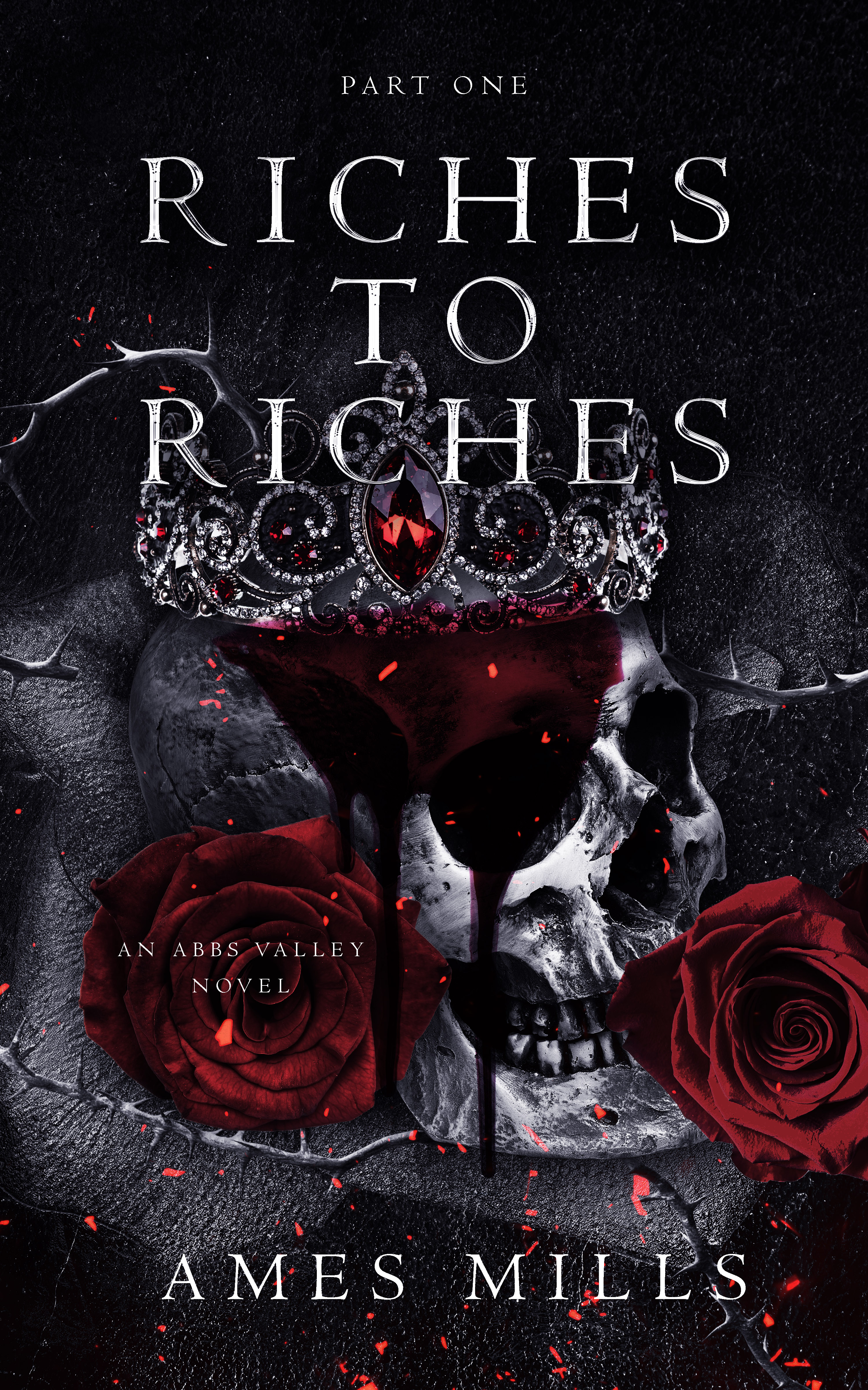 Riches to Riches book cover