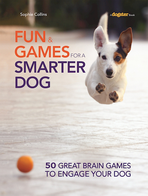 Fun and Games for a Smarter Dog book cover