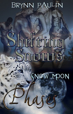 Snows book cover