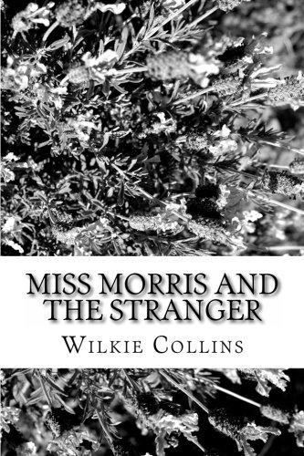 Miss Morris and the Stranger book cover