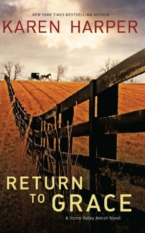 Home Valley book cover 2