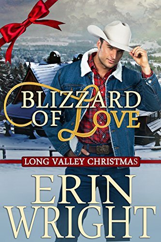 Blizzard of Love book cover