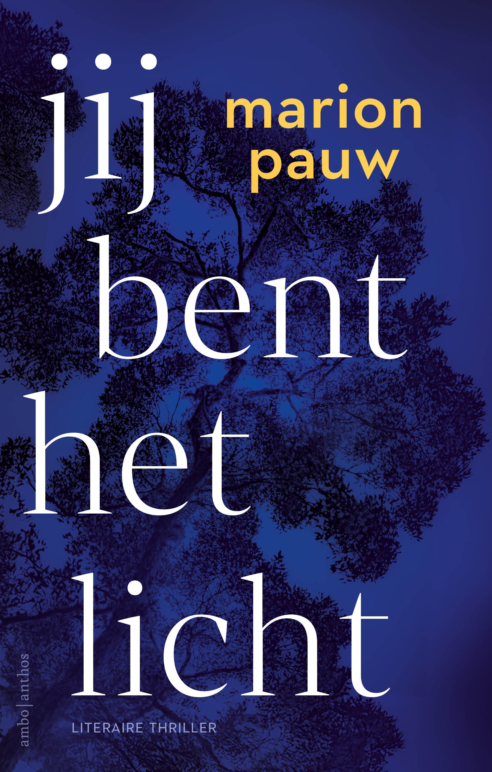 Jij bent het licht book cover