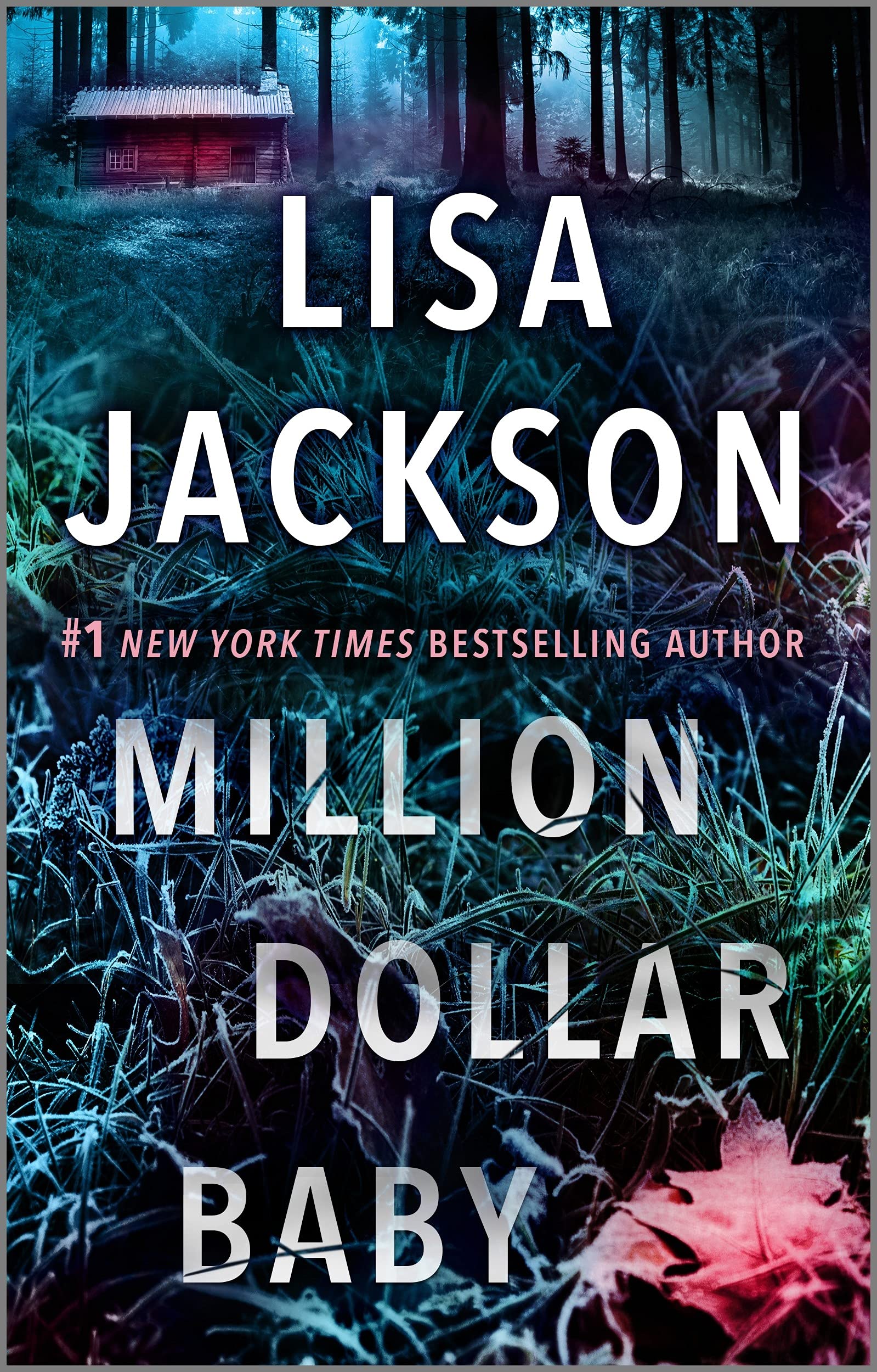 MILLION DOLLAR BABY book cover