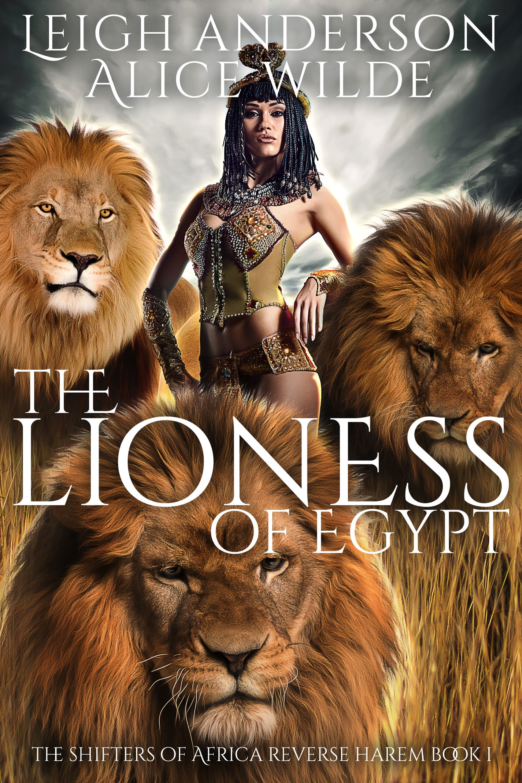 The Shifters of Africa book cover 1