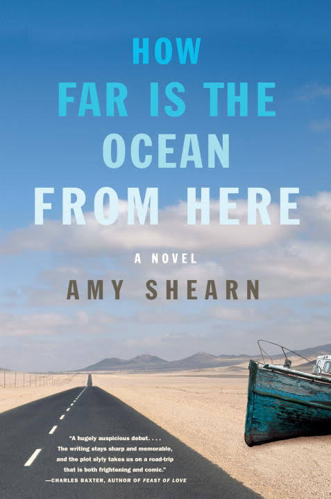 How Far Is the Ocean from Here book cover