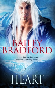 Heart book cover
