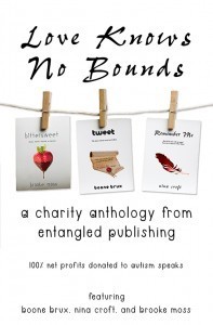 Love Knows No Bounds book cover
